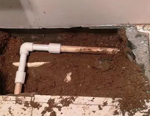 德州测漏水哪家好