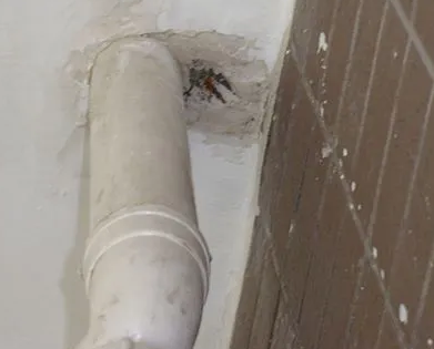 德州漏水检测哪家好